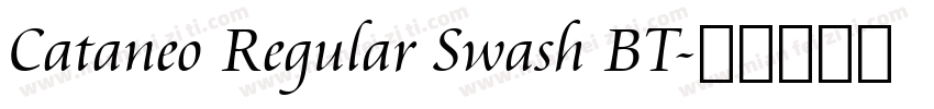 Cataneo Regular Swash BT字体转换